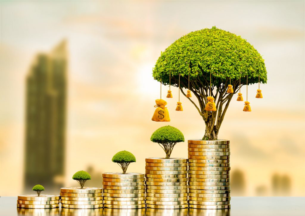 Prosperity & Budget Coaching