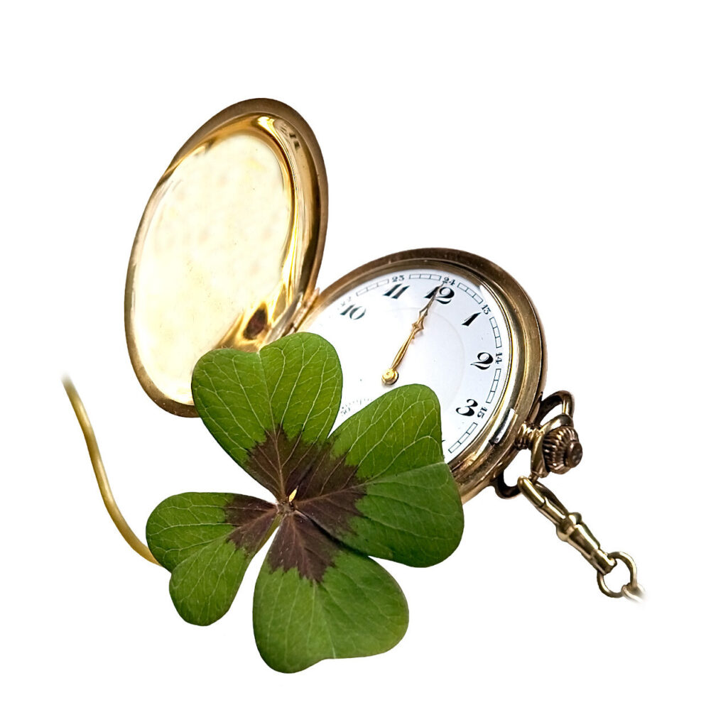 Divine Timing or Avoidance? The courage to Choose.