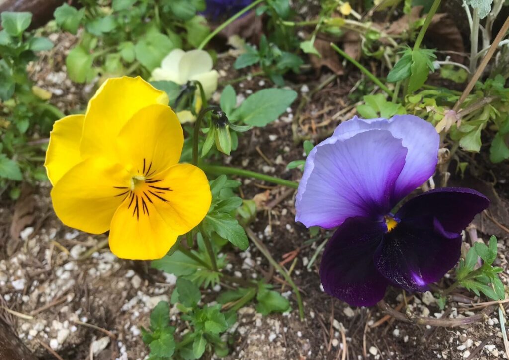 How to Stop Comparing Yourself to Others