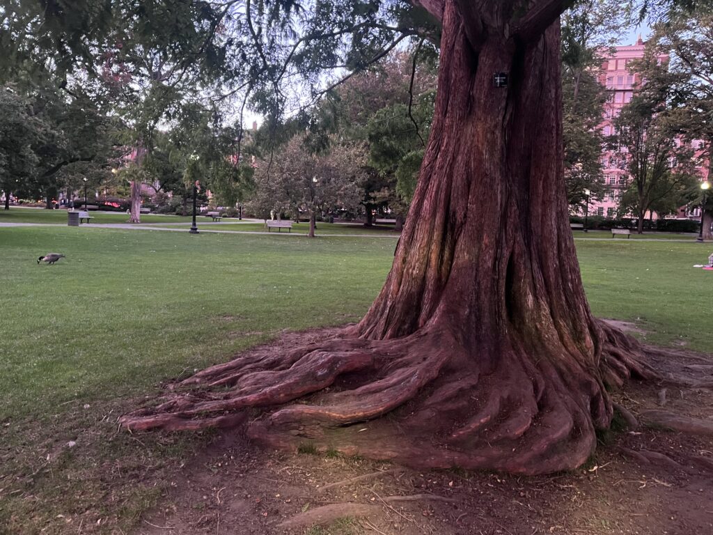 Grounding on Planet Earth